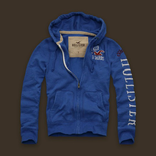 Hollister Hombres Outlet Capucha HCO4584
